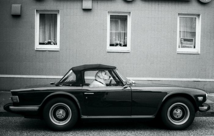 How to make your visuals stand out on social media news feeds