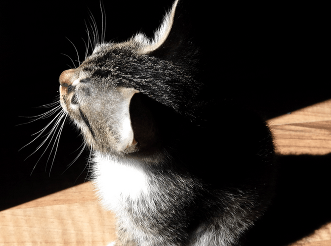 The Big Difference Between the Ads People Love and Ads People Hate