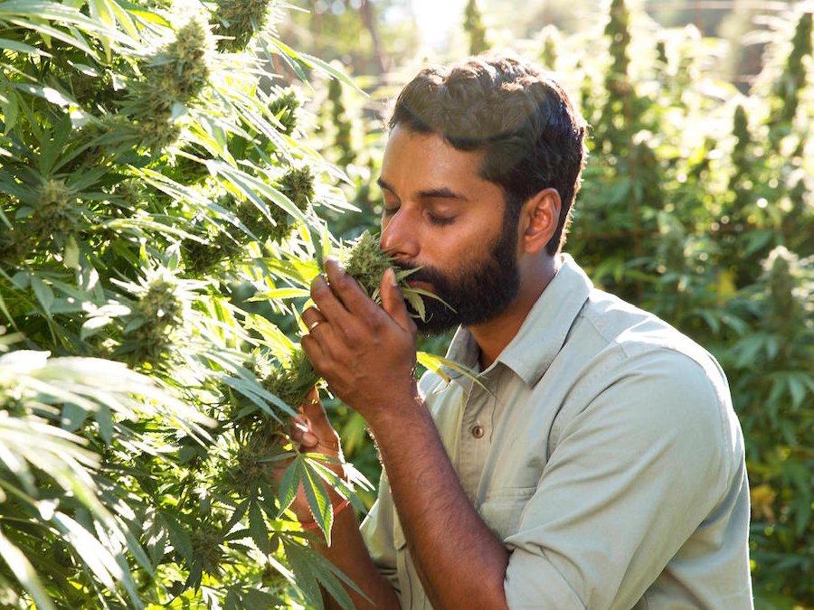 Vice Media reportedly missed its 2017 revenue target by more than $100 million, largely due to its struggling cable TV channel