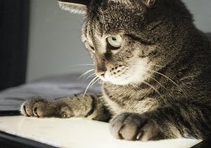 4 Interactive Ways to Make Your Business More Engaging