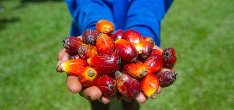 How end-to-end traceability can help you reach your sustainability goals