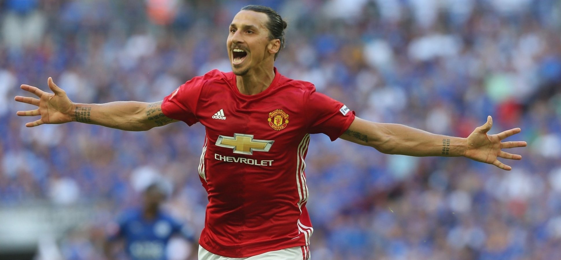 This May Be the Best Piece of Email Marketing You’ll See This Week (and Maybe Even This Year)