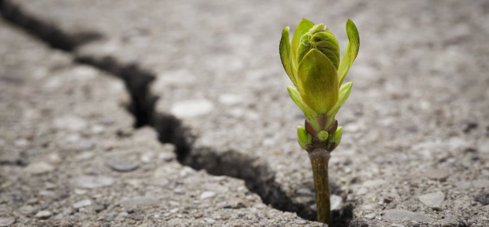 This 5 Step Personal Development Plan Made Me a Better Entrepreneur