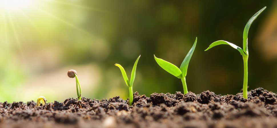 Take Fewer Meetings, Write Fewer Proposals-And Still Grow Your Business. Here’s How