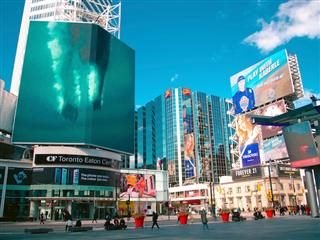 Concluding the Brand Management Maturity Model: Measuring Impact