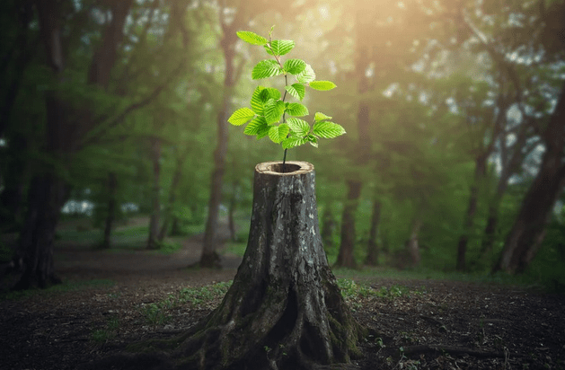 How a software company solved for ‘bland brand syndrome’