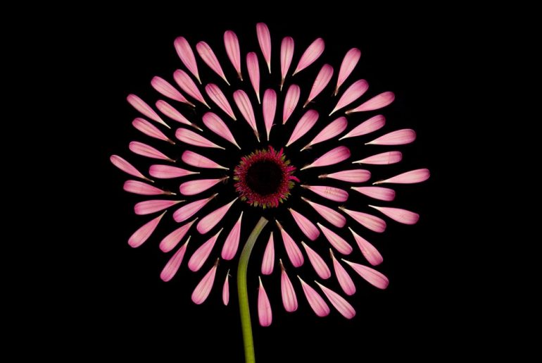 What an Effective Client-Referral Strategy Looks Like