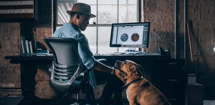 10 Work From Home Careers You Should Know About