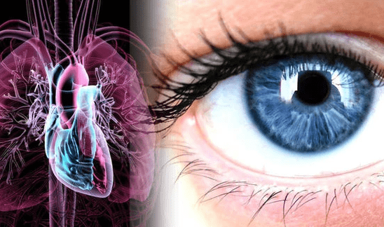 AI can predict risk of a heart attack in the next year from a routine eye scan