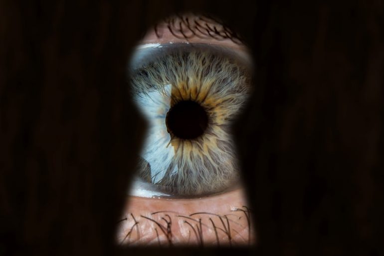 How Curiosity Will Strengthen Your Brand Leadership